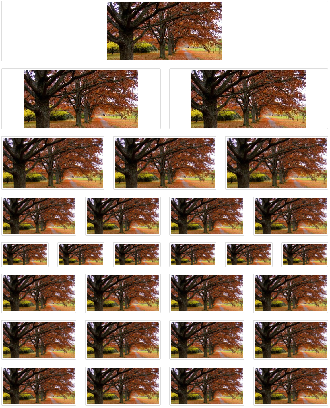 ../../_images/images.png